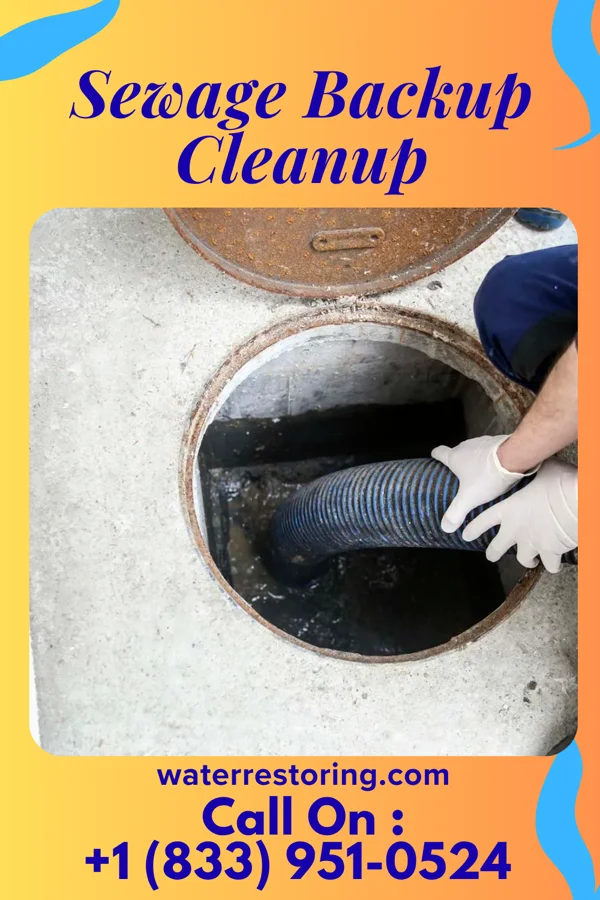 Sewage Backup Cleanup in Crestview Hills, KY