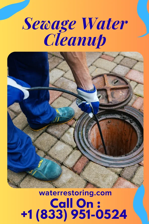 Sewage Water Cleanup in Crestview Hills, KY